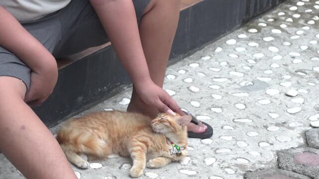 A person sits on a step and gently pets a sleeping orange cat.