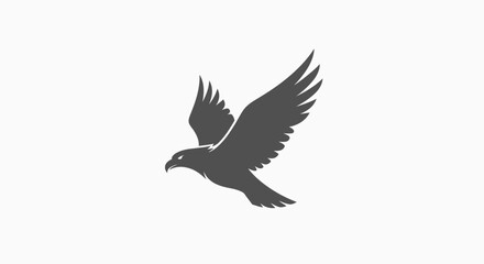 Fototapeta premium A dark silhouette of a majestic bird of prey soaring through the open sky