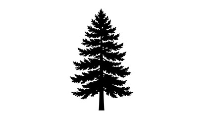Pine Tree Black Silhouette Vector Illustration Isolated on White Background © Md Humaun