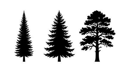 Pine Tree Silhouette Collection Evergreen Forest Vector Set © Md Humaun