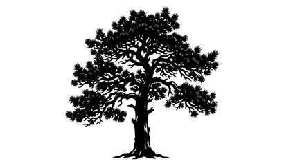 Mature Pine Tree Black Silhouette Botanical Vector Design Element © Md Humaun