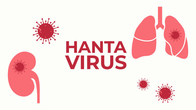 Medical illustration showing Hanta virus affecting organs