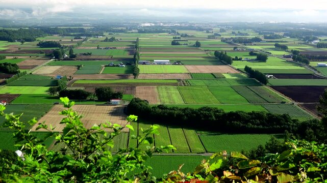 新嵐山スカイパーク展望台より望む十勝平野