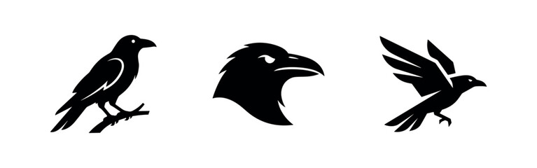 Obraz premium Raven and Eagle Bird Icons Set. Wildlife and Majestic Bird Symbols.