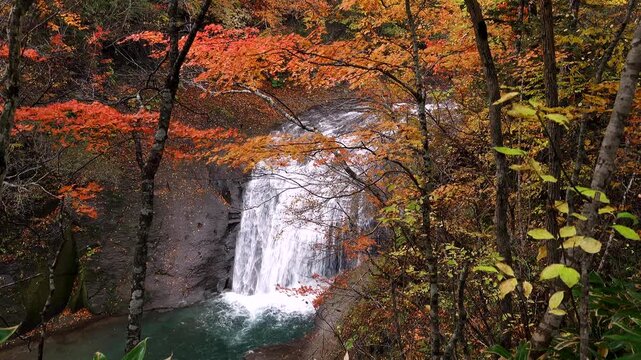 白扇の滝の紅葉