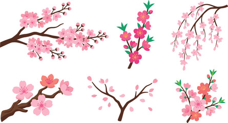 Fototapeta premium Japanese Cherry Blossom Branch Vector Set with Pink Sakura Flowers, Spring Buds, and Falling Petals for Greeting Cards and Oriental Floral Designs
