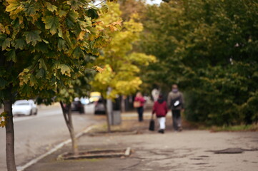 Fototapeta premium City streets summer landscaping defocused background 