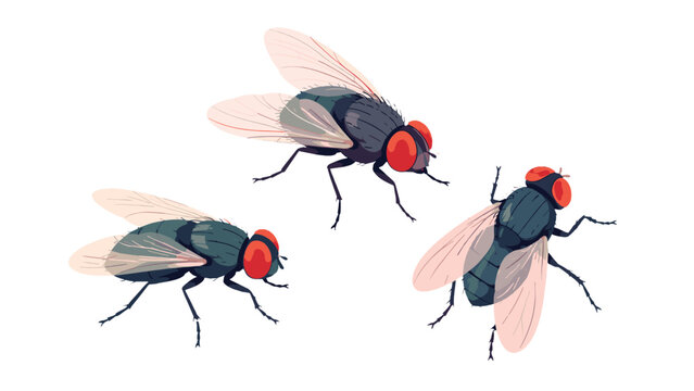 Three flying houseflies isolated on white background