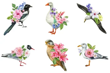 Spring bird watercolor clipart set with goose gull magpie falcon and albatross floral illustrations for decor © Hanna