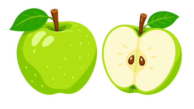 Green apple and sliced half apple vector illustration