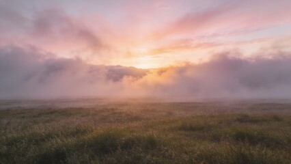 Obraz premium Bathing glowing horizon light piercing low fog bank over grassy meadow, showing dew on blades