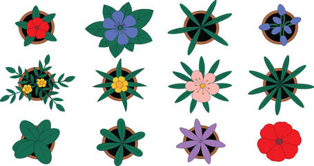 Top down view illustration of twelve potted flowers and plants for interior design decoration © MDTOFIZUL