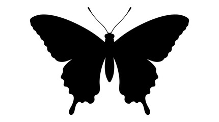 Black butterfly silhouette against a white background detailed wing shapes © FARISHTA FARIA