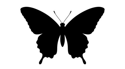 Black butterfly silhouette against a white background simple insect shape © FARISHTA FARIA