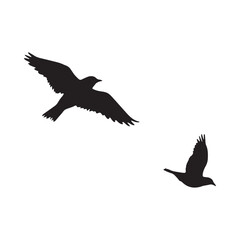 Fototapeta premium Bird silhouettes in flight black shapes against a white background