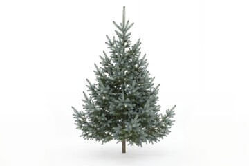 Fototapeta premium A single, full-grown blue spruce christmas tree with dense, needle-covered branches, isolated on a plain white background, for holiday decor