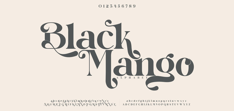 Black Mango Elegant luxury ligature serif alphabet display font vector illustration