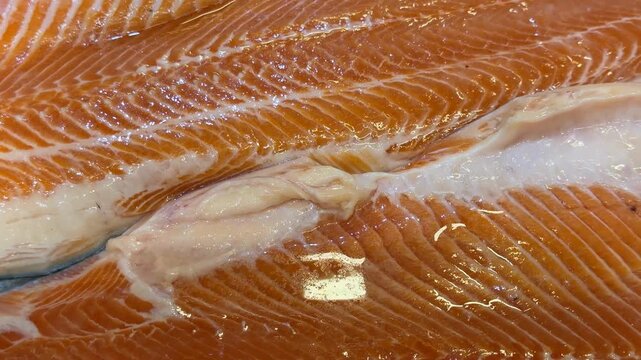 Raw salmon fillet close-up showing vibrant orange color suitable for culinary backgrounds