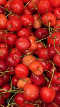 Cherries with vibrant red hues piled together, creating a fresh and colorful fruit background