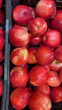 Red nectarines piled together in a basket, showcasing a vibrant and fresh fruit background
