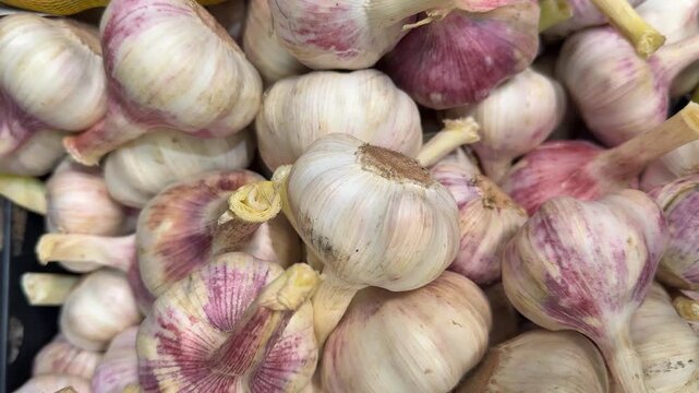 Pile of fresh garlic bulbs with purple streaks, suitable for background or culinary themes