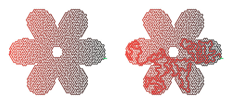 Flower shaped hexagonal maze puzzle game with solution, complex red gradient labyrinth template in silhouette of blossom with arrows, hard vector logic riddle for adults activity book
