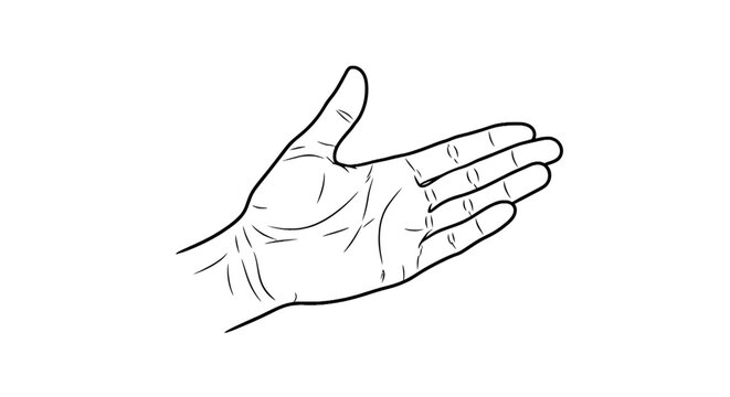 Human Hand Open Palm Upward Facing.