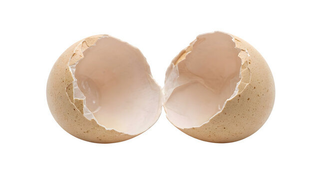 Isolated cracked eggshell halves with transparent background close up