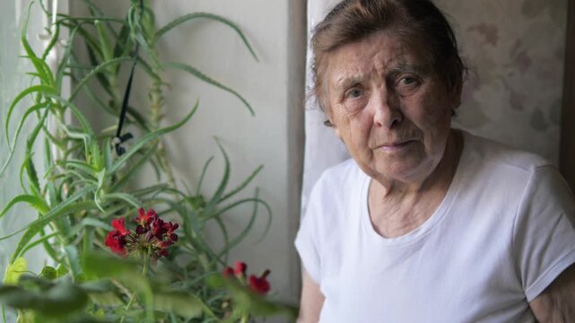 Portrait of serious old woman with deep wrinkles looking at camera with sad expression while standing near window with flowers in pot on windowsill at home. Female 80 years ill tremor of eyelids