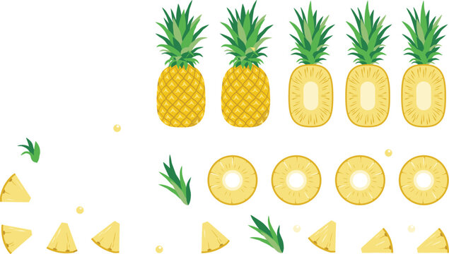 Fresh tropical pineapple fruit vector element set containing whole pineapples half cuts round rings chunks green leaves and seeds for healthy food beverage menu designs