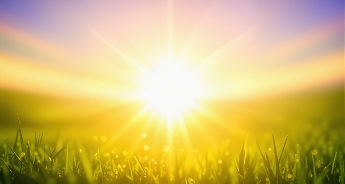 Sfondo astratto soleggiato di estate di natura con il sole splendente
