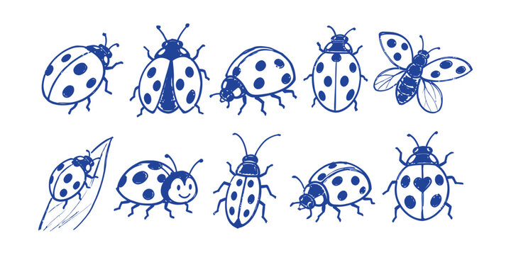 ladybug elements and beetle insect doodle icon set vector illustration