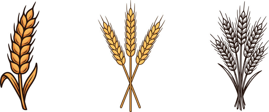 Golden wheat ears and barley stalks vector element set featuring single spikelet crossed sheaves and vintage retro dark bundle for bakery bread flour agricultural logo designs