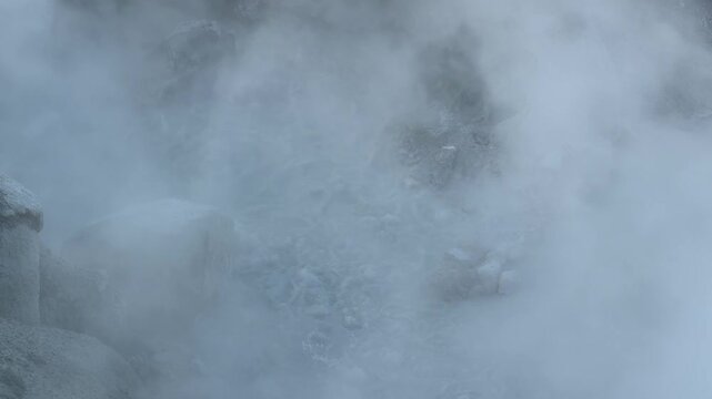 Hot, acidic mud of Sulfur Caldron in the Mud Volcano Area of Yellowstone