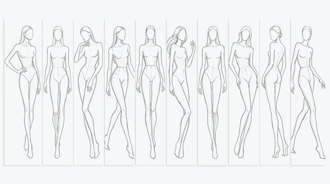 Vector illustration of set of female figure sketches in various poses for artistic reference