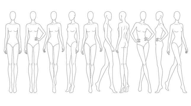 Vector illustration set of female body outline illustrations in various poses