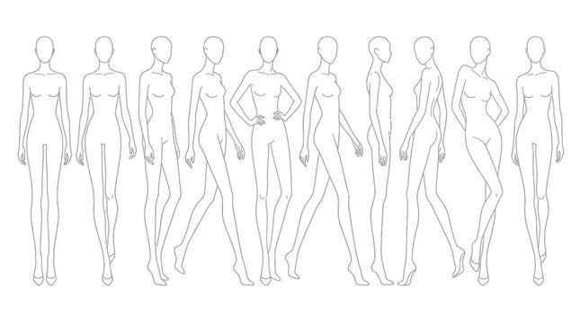 Vector illustration of multiple female body outline poses