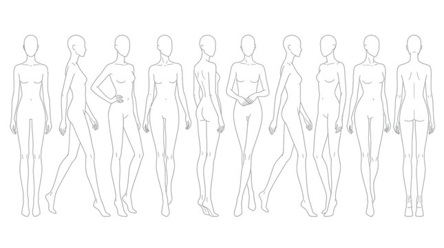 Vector illustration of multiple female body outline poses