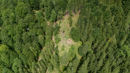 Aerial view of a forest clearing surrounded by dense mixed woodland © Natural Life Visuals