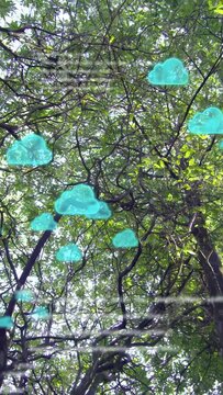 Vertical video: Cam tilting up starting teal cloud icons growing over canopy showing network links