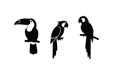 Obraz premium Tropical Bird Silhouettes Toucan and Parrots Set