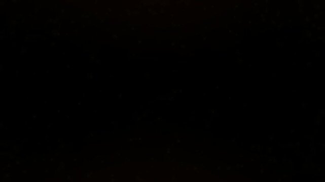 Dark background texture presents a uniform and solid surface with no distinct features.