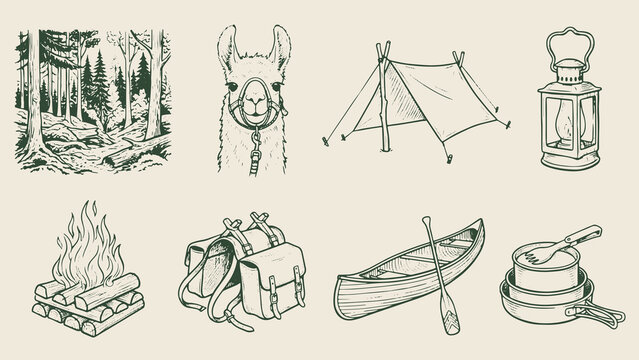 Camping and outdoor adventure illustration with forest llama tent lantern campfire backpack canoe and cooking pots on beige background