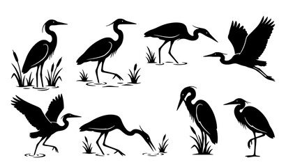 Fototapeta premium Vintage Silhouette Vector Set of Herons and Egrets in Various Poses Flying Standing and Foraging Isolated on White Background Graphic Clipart