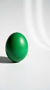 A single green egg sits on a white surface, casting a shadow, representing spring and new beginnings