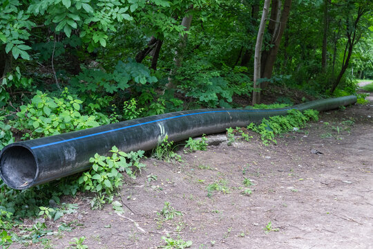 A long, black high-density polyethylene water pipe with a blue stripe lies on the ground next to a dirt path at the edge of a lush green forest, awaiting installation.