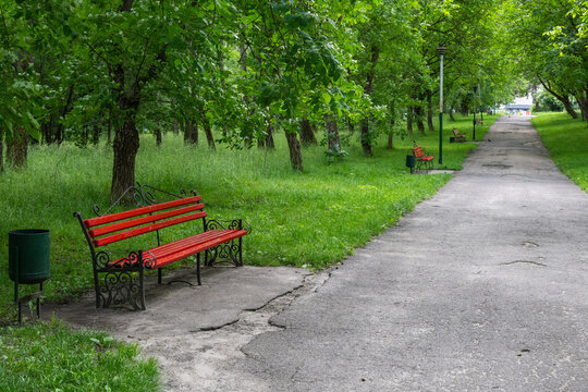 A quiet paved walking path in a lush green park features a bright red wooden bench and a trash bin along a tree-lined avenue
