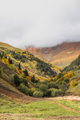 Vertical autumn mountain valley under low clouds in Arkhyz Karachay Cherkessia Russia. © Lena May