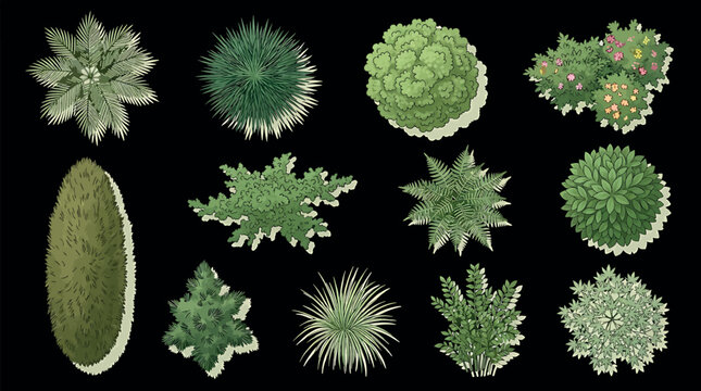 Set of top view plants and trees for architectural landscape design, isolated on black background