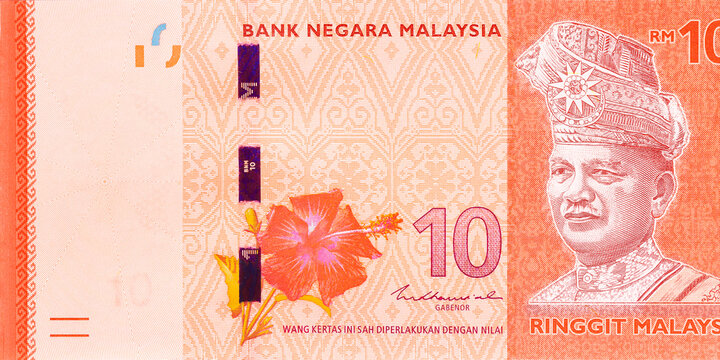 Ten ringgit cash banknote features hibiscus flower, portrait of historical figure, used for currency in Malaysia.